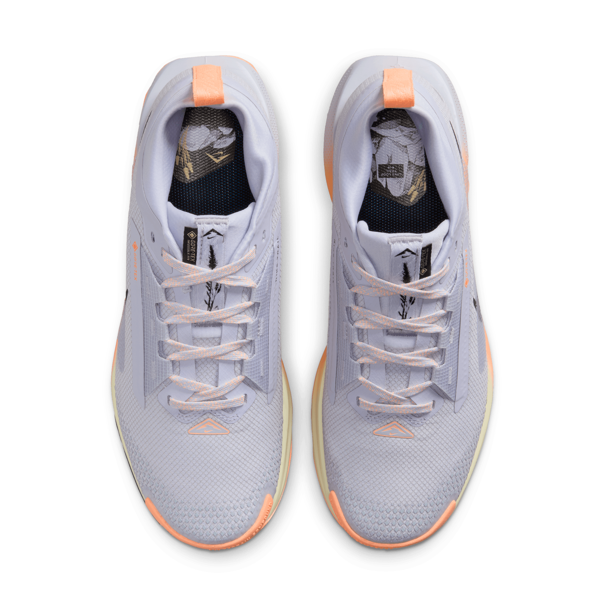 NIKE WOMEN'S PEGASUS TRAIL 5 GORE-TEX - B - GHOST/BLACK MALT