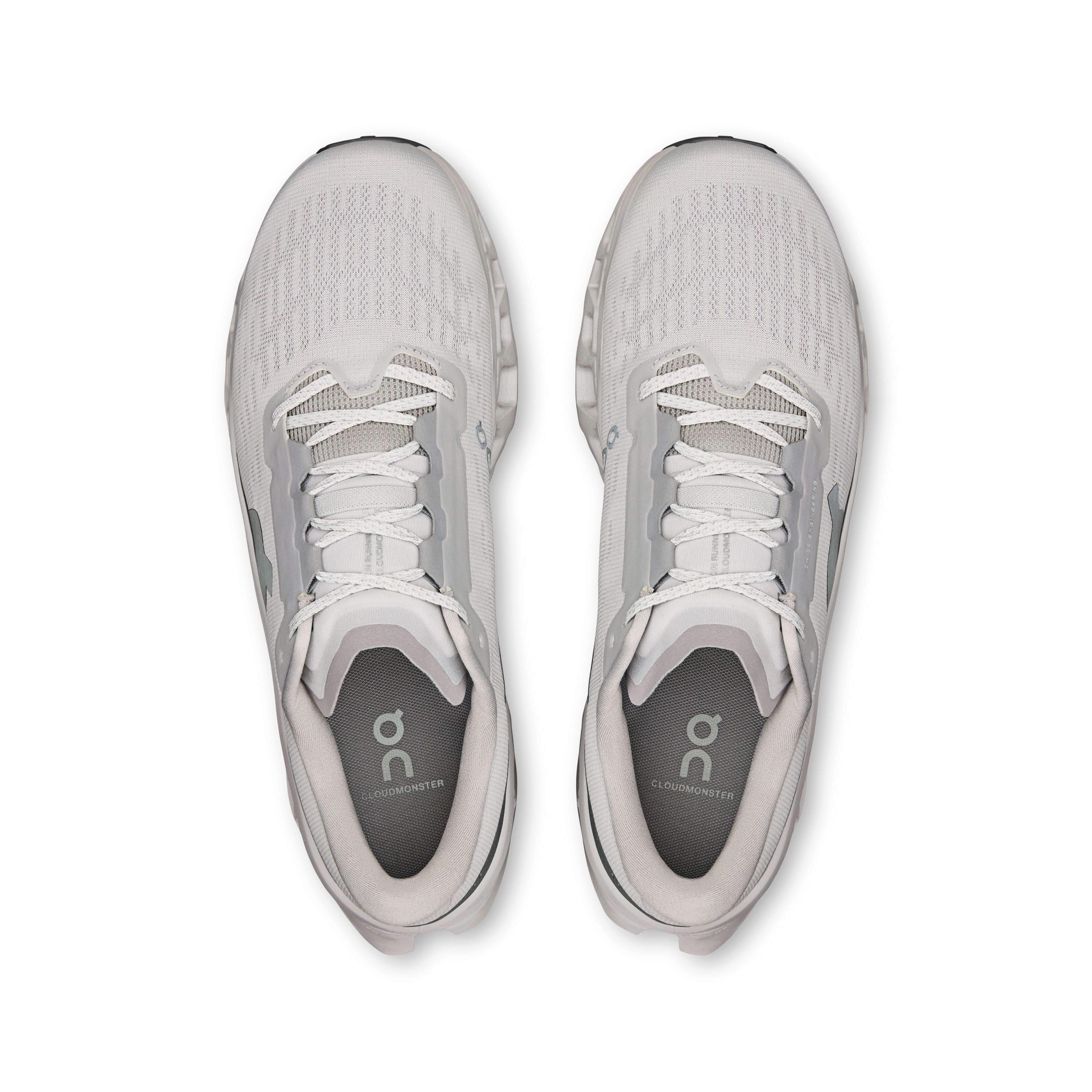 ON RUNNING MEN'S CLOUDMONSTER 3 - D - WOLF/WOLF