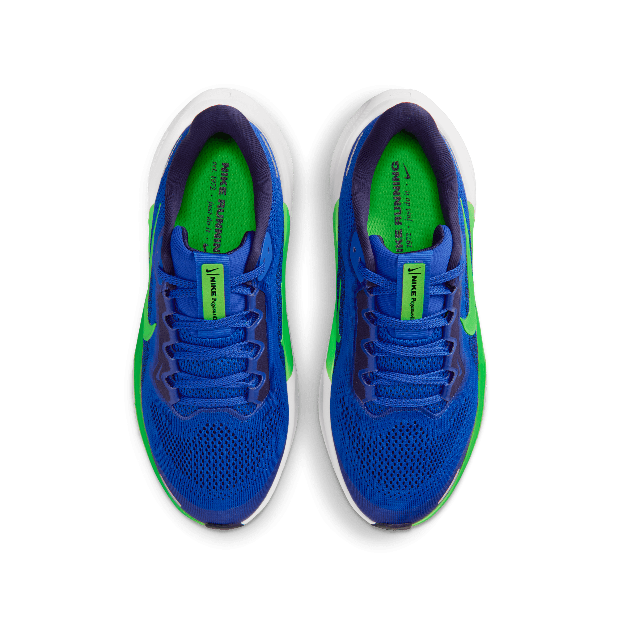 NIKE KID'S PEGASUS 41 - RACER BLUE/GREEN STRIKE
