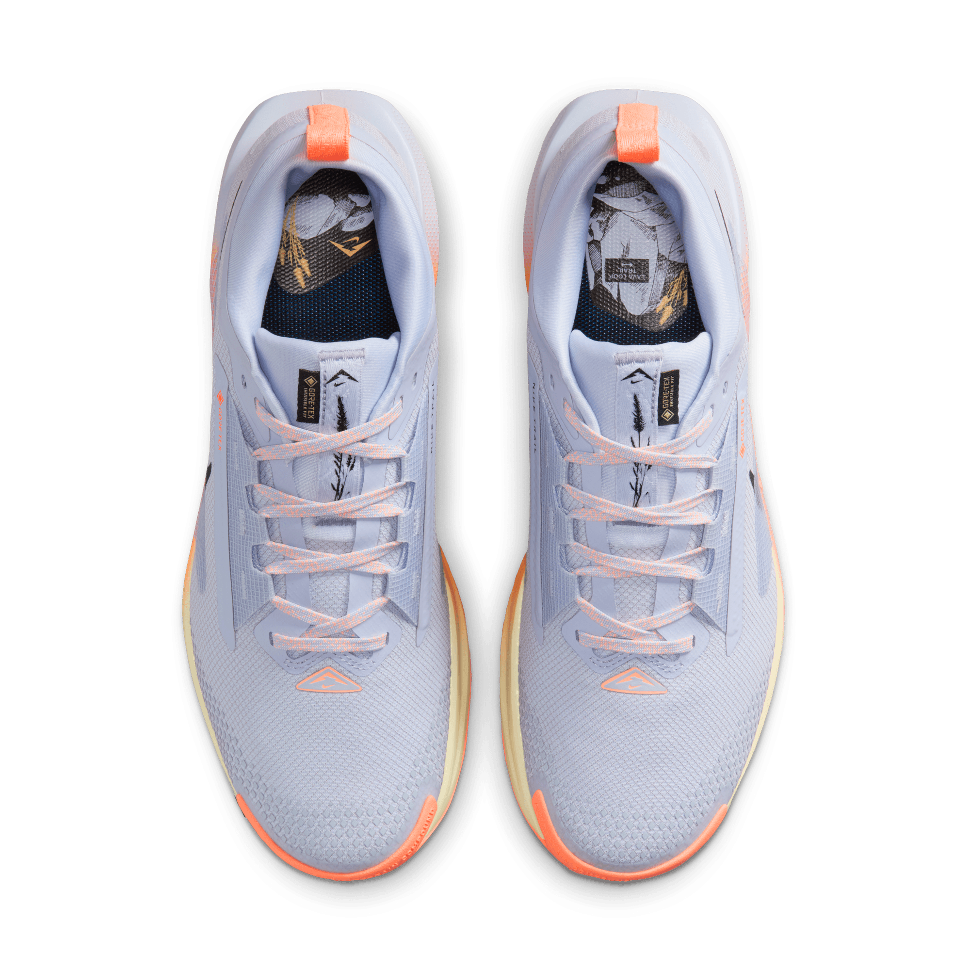 NIKE MEN'S PEGASUS TRAIL 5 GORE-TEX - D - GHOST/BLACK MALT