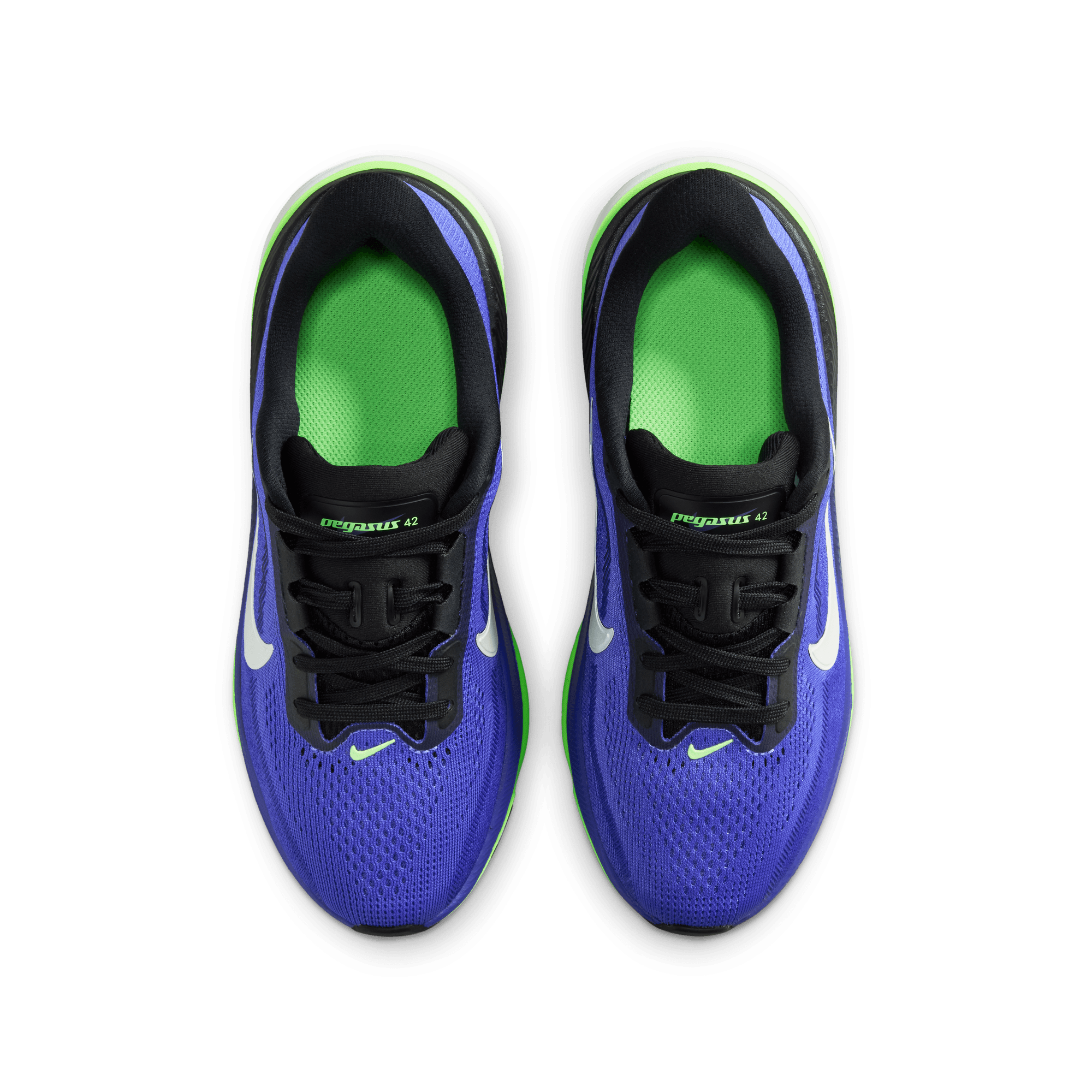 KID'S PEGASUS 42 - SAPPHIRE/BLACK LAPIS