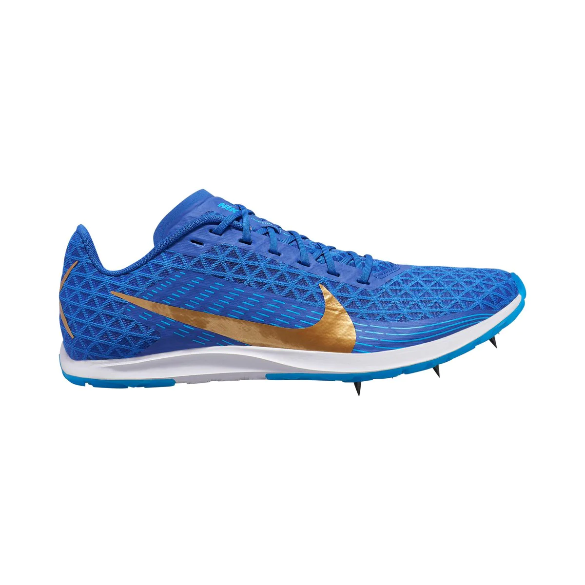 zoom rival xc BLUE/GOLD