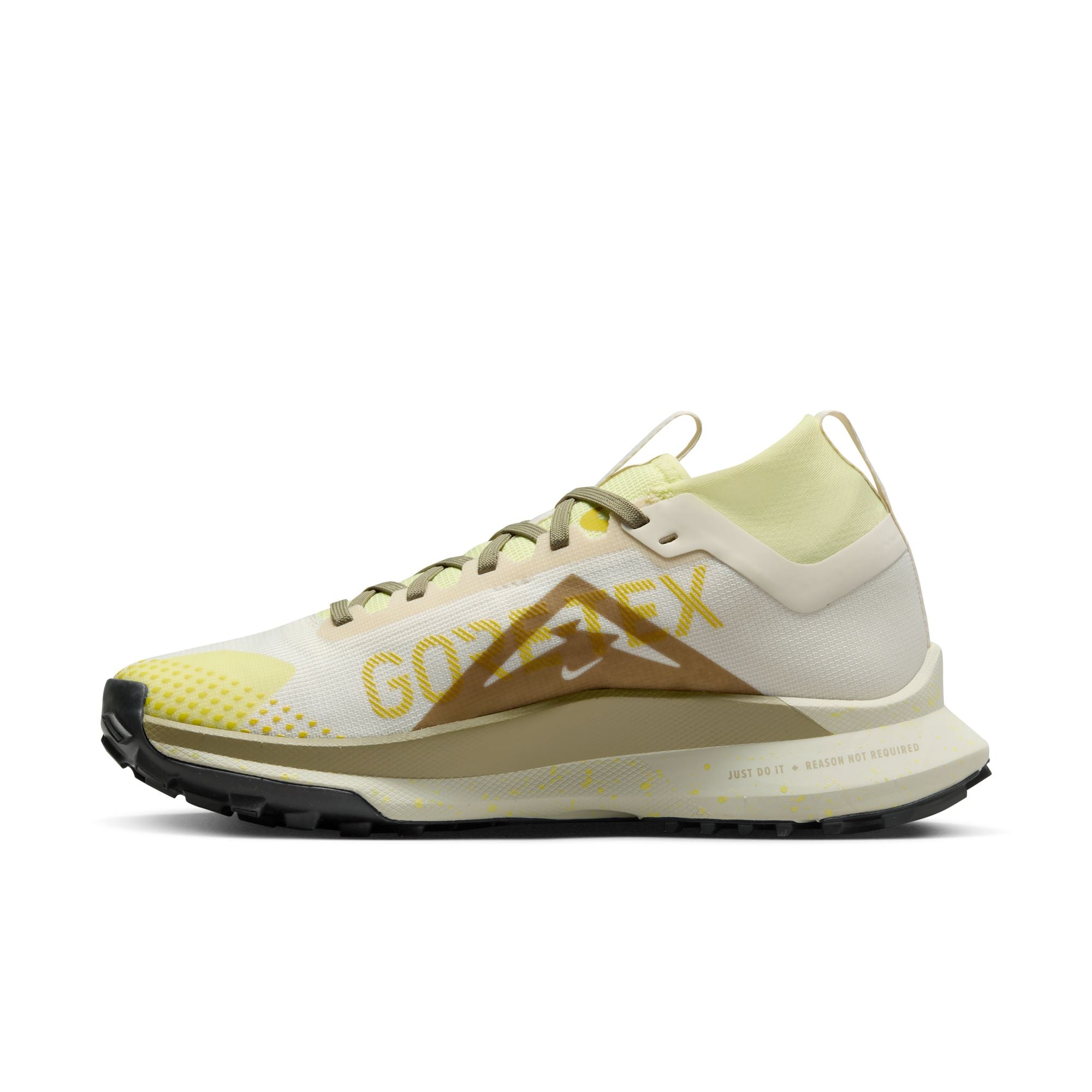 Zoom pegasus 36 2024 gtx trail shoe